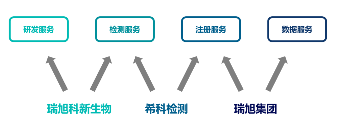 瑞旭科新生物,化妝品功效,日化品,瑞旭集團,?？茩z測,注冊備案